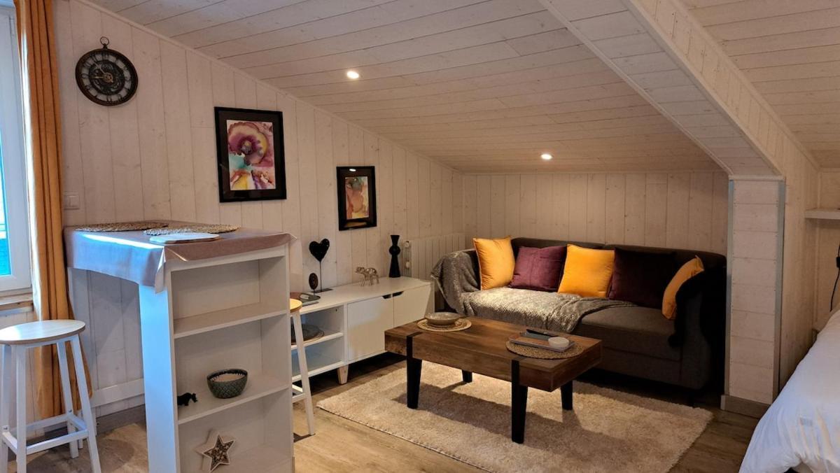 Studio-Centre Ville Châteaubriant Pokoj fotografie